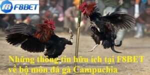 Đá Gà Campuchia F8BET - Khám Phá Luật Chơi Chi Tiết